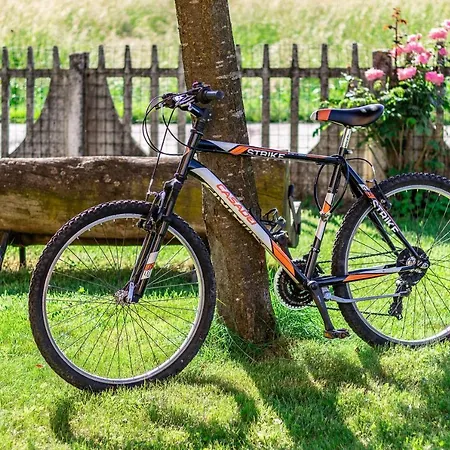 Feriehus Quick Garden *